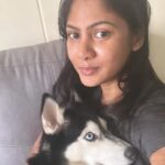 Shruti Reddy Instagram – My baby cute 🐺NALA 🤍

.
.
.
.
.

#husky #nala #dogsofinstagram