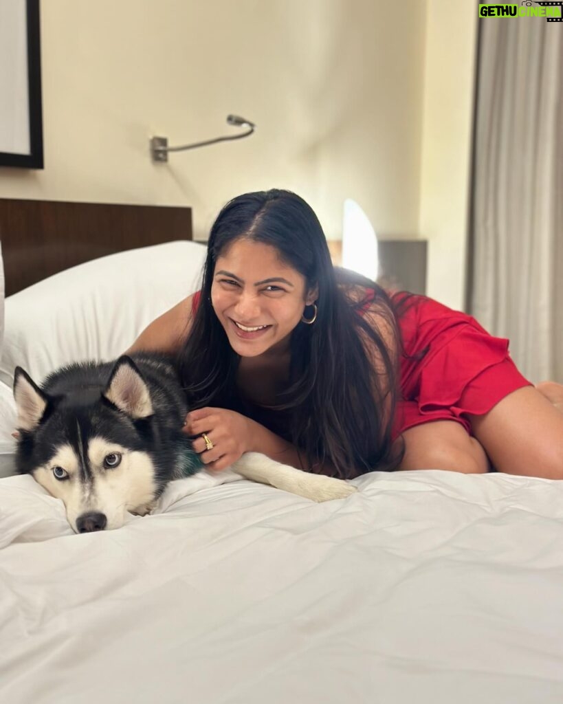 Shruti Reddy Instagram - My Cute Puppy time .. 🐺NALA 🤍