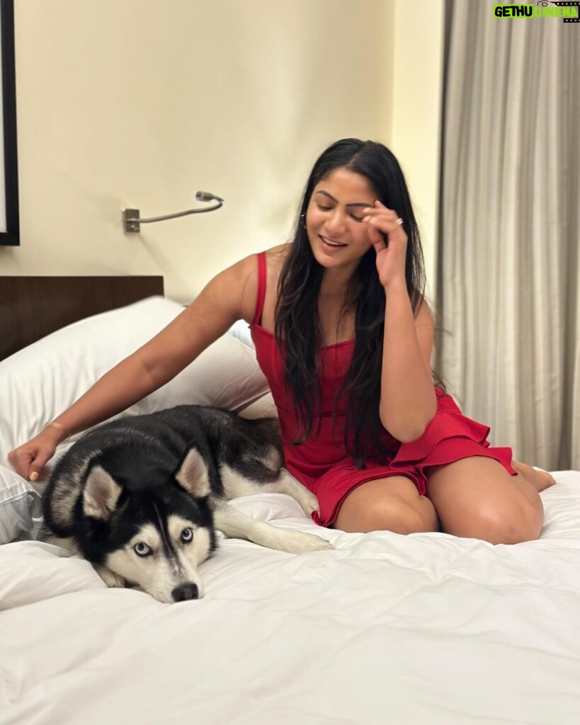 Shruti Reddy Instagram - My Cute Puppy time .. 🐺NALA 🤍