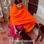 Shweta Gulati Instagram – Aiye twitter pe! 6pm-7pm, roz shaam, tweet nonstop #saynotodogpounds
.
Spread the word! Let the nation come forward 🙏🏻
.
.
.
.
.
.
.
.
.
.
#dogsofinstagram #doglife #dogs #dogmom #dogmomlife #doglover #doglovers #dogloversofinstagram #dogloverclub #love #motherslove #mothers #inspiration #motivation #dogrescue #dogreels #dogvideos #trending #trendingnow #viral #viralvideos #viralvideo #rescue #rescuedogsofinstagram #rescuedog #saynotodogpounds #saynotolivestockbill2023 #doglivesmatter