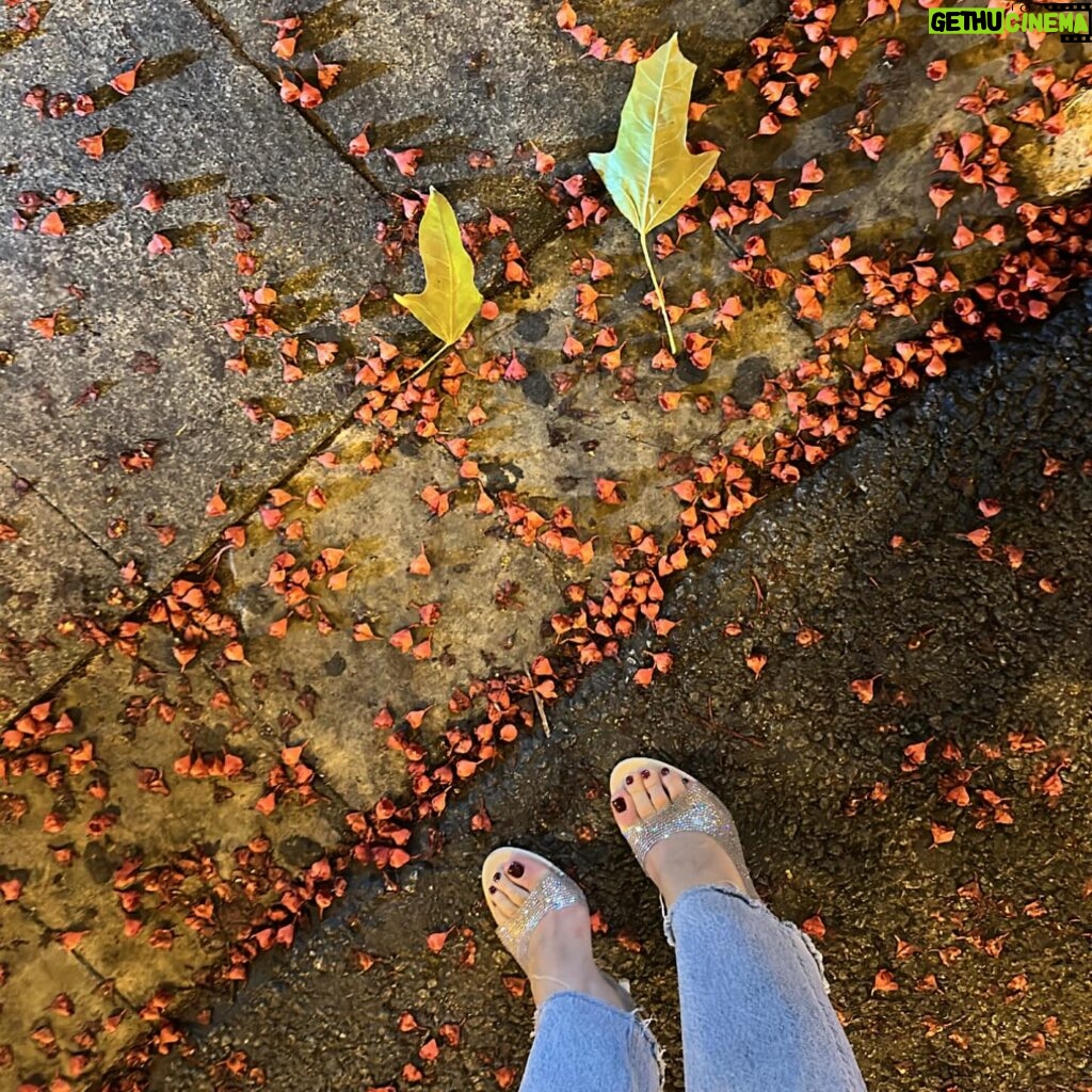 Sibel Aytan Instagram - Biraz tatil biraz sıcak hava, lütfen! 🤲🏼🙏🏻🌻