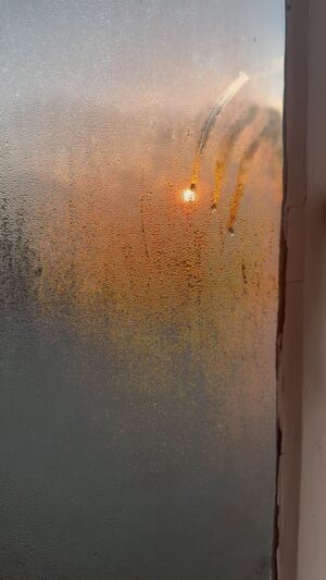 Sienna Guillory Instagram - Winter morning magic ✨