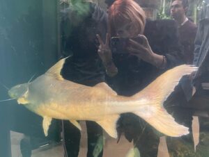 Sierra McCormick Instagram - Went to Chicago, saw some cool fish, took some dumb selfies, ate some good food, saw some cool theater, got pelted by the wind.