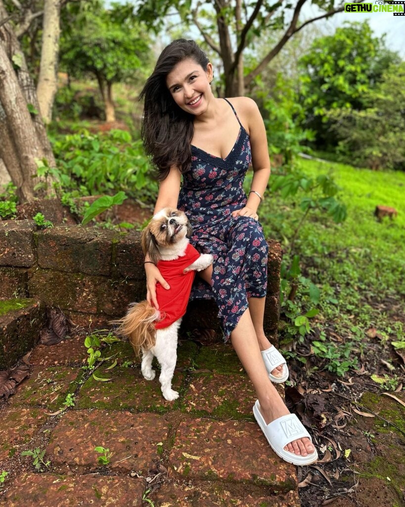 Simran Kaur Hundal Instagram - They are saying it’s #internationaldogday for me it’s every day as this little love bug is by my side @oliveakatidi my love ❤️ I’m truly fortunate 🧿 I have sooooooooo many pictures of Olive 🙈 . . . . . . . . . . . . . . . #internationaldogday #simranhundal #olive #shihtzu #dogsofinstagram #dog #dogs #nationaldogday #puppy #doglovers #dogstagram #instadog #doglife #dogoftheday #doglover #love #puppylove #dogday #puppiesofinstagram #adoptdontshop #dogsofinsta #doggo #pets #instagood #petsofinstagram #ilovemydog #photooftheday #instagram #dogphotography #cute