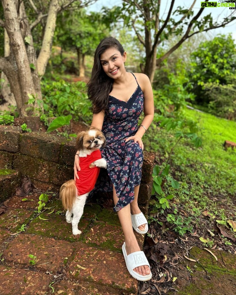 Simran Kaur Hundal Instagram - They are saying it’s #internationaldogday for me it’s every day as this little love bug is by my side @oliveakatidi my love ❤️ I’m truly fortunate 🧿 I have sooooooooo many pictures of Olive 🙈 . . . . . . . . . . . . . . . #internationaldogday #simranhundal #olive #shihtzu #dogsofinstagram #dog #dogs #nationaldogday #puppy #doglovers #dogstagram #instadog #doglife #dogoftheday #doglover #love #puppylove #dogday #puppiesofinstagram #adoptdontshop #dogsofinsta #doggo #pets #instagood #petsofinstagram #ilovemydog #photooftheday #instagram #dogphotography #cute