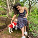Simran Kaur Hundal Instagram – They are saying it’s #internationaldogday for me it’s every day as this little love bug is by my side @oliveakatidi my love ❤️ I’m truly fortunate 🧿 I have sooooooooo many pictures of Olive 🙈
.
.
.
.
.
.
.
.
.
.
.
.
.
.
.

#internationaldogday #simranhundal #olive #shihtzu #dogsofinstagram #dog #dogs #nationaldogday #puppy #doglovers #dogstagram #instadog #doglife #dogoftheday #doglover #love #puppylove #dogday #puppiesofinstagram #adoptdontshop #dogsofinsta #doggo #pets #instagood #petsofinstagram #ilovemydog #photooftheday #instagram #dogphotography #cute