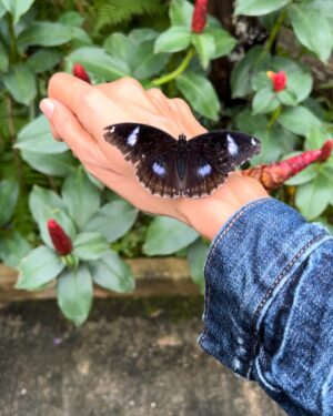 Sinem Güven Instagram - Kısa bir süreliğine cennetten geçtik. 🥰🦋 #tailand #hayatandanibarettir #seyahat #love #adventure