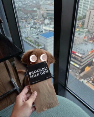 Sita Chutipaworakarn Instagram - Coco in Korea ทำไอจีให้โค่ดีไหมน้า!