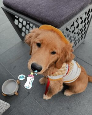 Sita Chutipaworakarn Instagram - Coco in Korea ทำไอจีให้โค่ดีไหมน้า!
