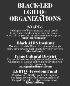 Skyler Wright Instagram - this isn’t a matter of ‘politics’ anymore. this is a matter of life and death. this is a matter of racism vs equality. which side of history are you willing to be on? activism by its definition is “the policy or action of using vigorous campaigning to bring about political or social change”. so if you’re annoyed by the amount of posts you’re seeing about the #blacklivesmatter movement, ask yourself why. for those of you continuing to post your regular content as a means of ‘distraction’, WE DON’T WANT TO BE DISTRACTED. nothing else should matter until black. lives. matter. there’s a link in my bio explaining multiple ways you can be involved. above are several black-led lgbtq  organizations ( thank you to @raquel_willis and @pfpicardi ) the best thing we can do as ally’s is listen, acknowledge, and protect. do more. be more. speak up. ❤️