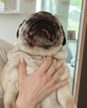 Skyler Samuels Instagram - my niece is an actual potato 🥔 (swipe for a little 👀)
