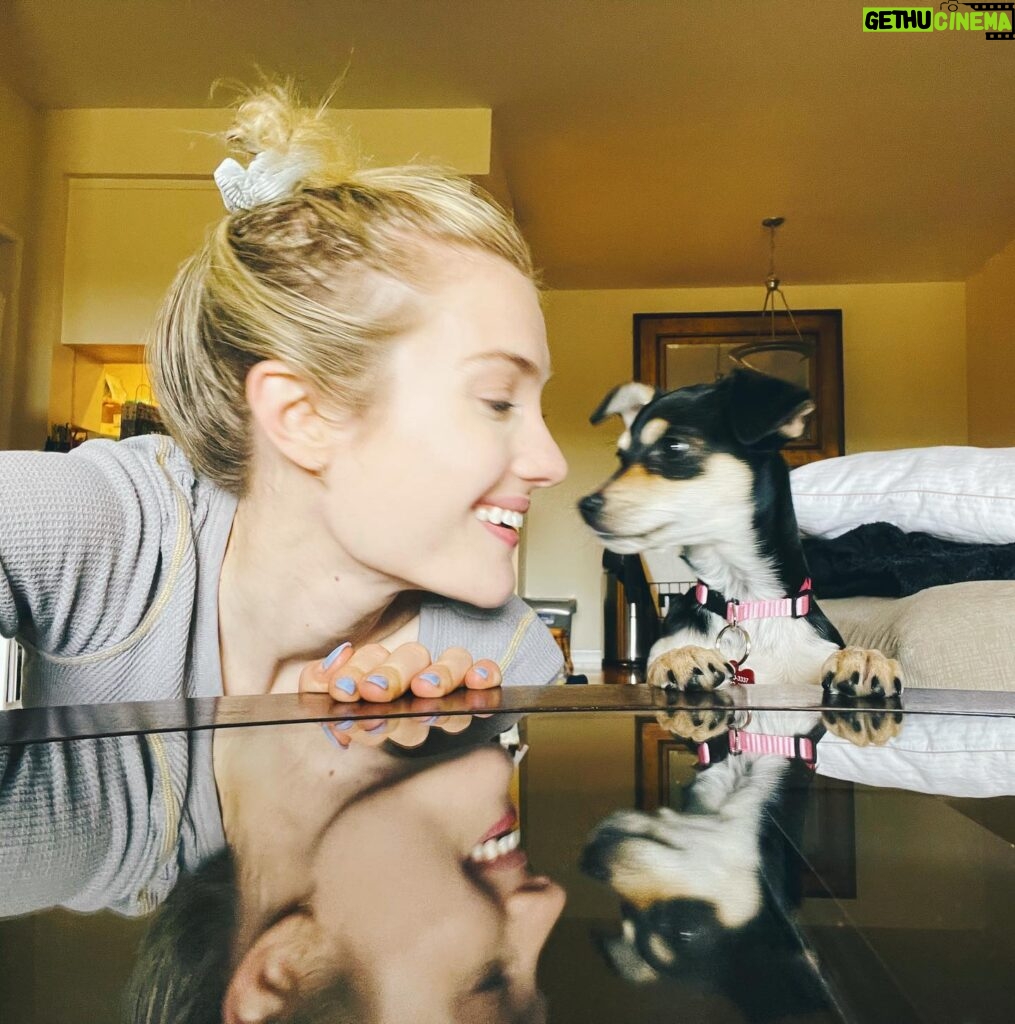 Skyler Samuels Instagram - new foster friend lilou 💛 @tobiessmalldogrescue