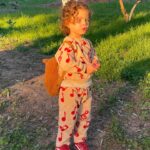 SoKo Instagram - ❣️Happy Valentine’s Day ❣️ Please allow me to gush over this cuteness.. This is my mini Valentine. Biggest love of my life.. Forever love. Who has been writing me valentines card everyday for a week ! Happy day of love to all the kinds of love you have in your life.. And for those who miss their loved one, who lost their loved one, who are alone today, i send you an extra big warm fuzzy hug and love. 🤗🎈