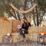 Sofía Sisniega Instagram - Celebrating #thanksvegan with @peta @officialpetalatino 🦃 Thank you for having us @kindredspiritscarefarm 🍲 If you wouldn’t kill an animal why pay someone to do it? 🍂 ¿Si tú no matarías a un animal por qué pagar para que alguien lo haga? 🍁 #veganthanksgiving #veganfood #thanksgiving #govegan #kindredspiritscarefarm