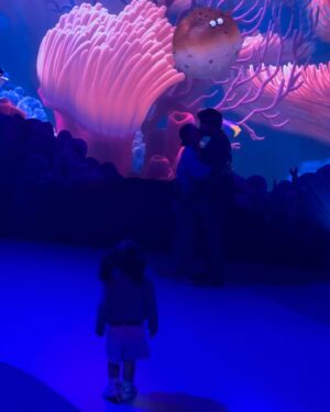 Sofía Garza Instagram - ¿Quién creen que se la pasó mejor? #mundopixar