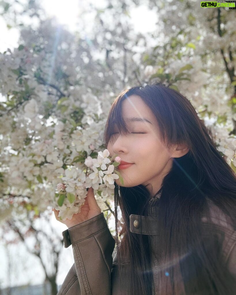 Sofiee Ng Hoi-yan Instagram - Spring in Seoul 🧚‍♀️