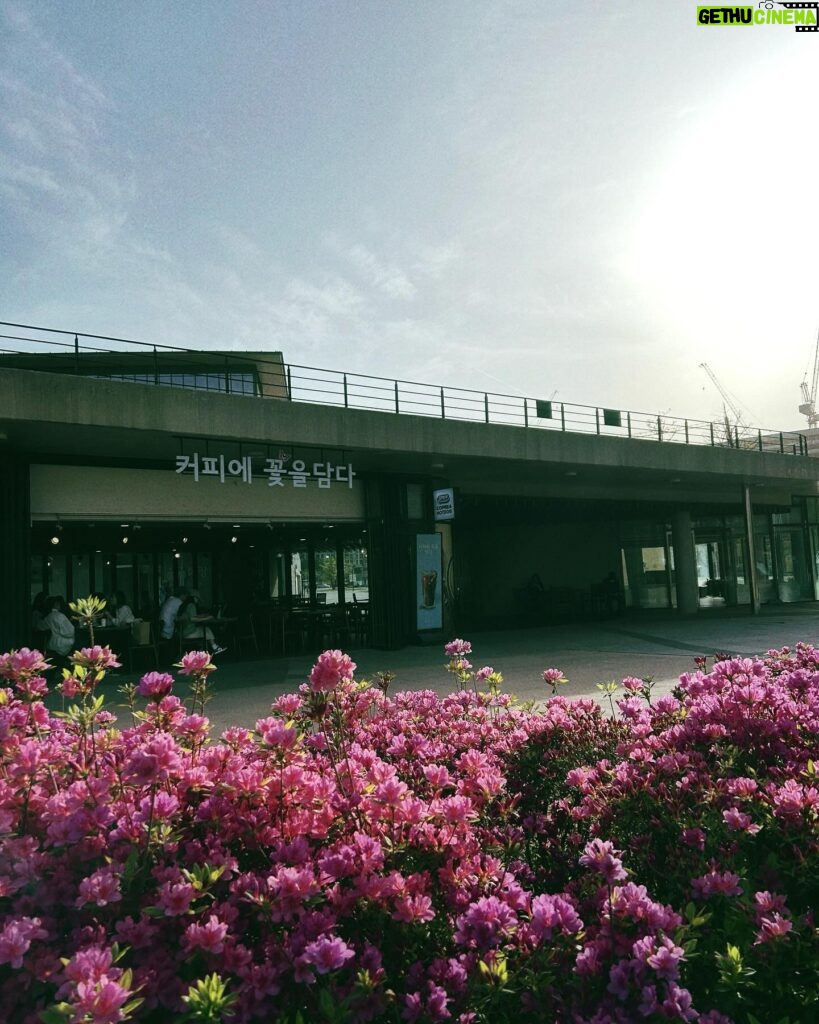 Sofiee Ng Hoi-yan Instagram - Spring in Seoul 🧚‍♀️