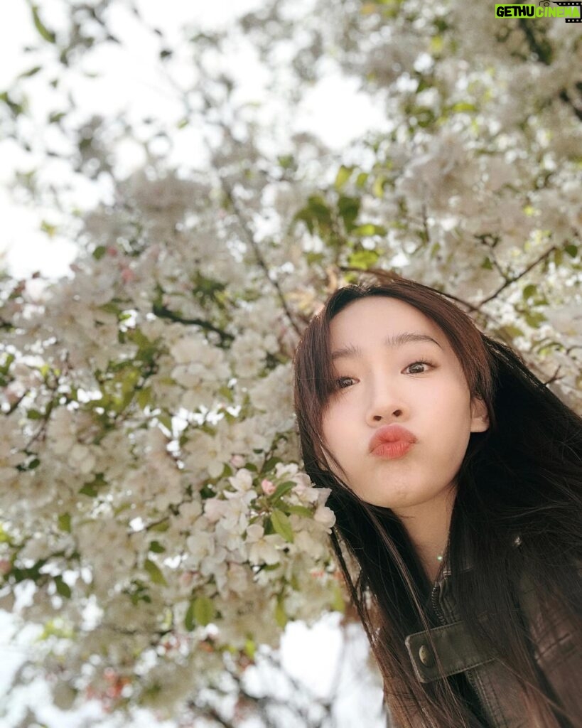 Sofiee Ng Hoi-yan Instagram - Spring in Seoul 🧚‍♀️