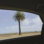 Sofiee Ng Hoi-yan Instagram - ☀️🌴
