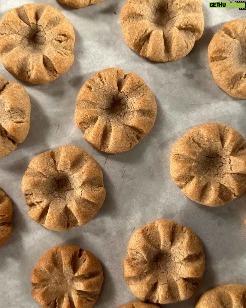 Sohla El-Waylly Instagram - Tis the season for cookies! So be sure to check out this week’s Ancient Recipes where I recreate 1300 year old Chinese cookies and learn about the history of the Silk Road from professor of Chinese history @dong_muda