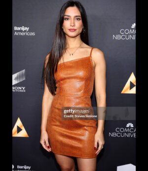 Sol Rodríguez Instagram - Last night we celebrated being Latinos @nalip_org 🫶🏽