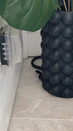 Soledad O'Brien Instagram - Ummmm there's a giant snake on my porch.