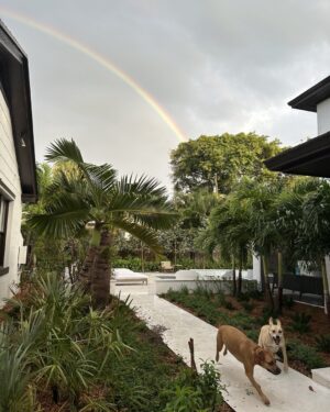 Soledad O'Brien Instagram - Coco and Teddy and a lovely rainbow after 5 hours of a downpour!