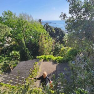 Soledad Silveyra Instagram - Les comparto algunas fotos de Ischia 🇮🇹 Scogli degli Innamorati / Baia de Citara / Giardini La Mortella, creado por Susana Walton, una escritora argentina.
Los quiero❤️