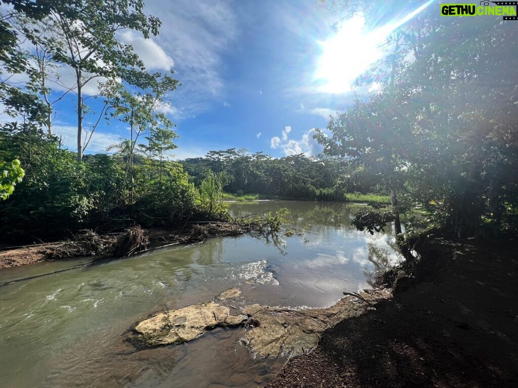 Soleil Moon Frye Instagram - This is where I have called home for the past week. Living in a Sapara community in the Ecuadorian Amazon rainforest. I am so truly grateful for the way in which I was welcomed in with open arms, To be in this awe inspiring jungle has been an experience beyonds words, without internet or phone service, deeply connected to heart, mind, spirit, nature and more… It is indescribable, so I will say in humble gratitude, Witsaja I love you. @ohjunenowwhat @manariushigua @naku.com.ec @raising.the.world Aquí ha sido mi hogar por la última semana. Viviendo en una comunidad Sapara en la selva amazónica Ecuatoriana. Estoy muy agradecida como me recibieron con brazos abiertos. Estar en esta selva ha sido una experiencia increible que ni tengo palabras para expresarlo. Sin acceso a internet ni telefono solo conectados profundamente con mente , cuerpo, espíritu, naturaleza y más… Es indescriptible y me siento humildemente agradecida, Witsaja.