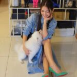Somaline Ang Instagram - Fur babies add a lil happiness to my life 🐶🥹 @smoothieandsundae Style by @samonggg Makeup by @shaunleelee