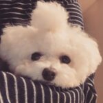 Son Ga-in Instagram - 🖤🖤🖤🖤🖤❤️❤️❤️❤️❤️
