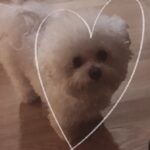Son Ga-in Instagram -