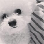 Son Ga-in Instagram - 🐒