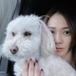 Son Tae-young Instagram - 나도🩷Parker🐶 모두 감기 조심 하시구 좋은 주말 보내세요💜