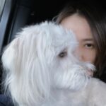 Son Tae-young Instagram - 나도🩷Parker🐶 모두 감기 조심 하시구 좋은 주말 보내세요💜