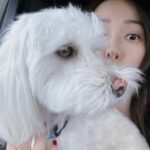 Son Tae-young Instagram - 나도🩷Parker🐶 모두 감기 조심 하시구 좋은 주말 보내세요💜