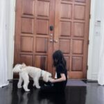 Son Tae-young Instagram - : 오빠 친구 강아지 파커로 소원 푼 권리호 어린이🩷🐶