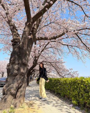 Song Joo-hee Instagram - 벚꽃을 보는데 벚꽃만을 보려고 어딜 온 적이 있었나 싶었다. 걷는 내내 기분이 너무 좋았다. 내년에도 올 테다. 🕶️🌸