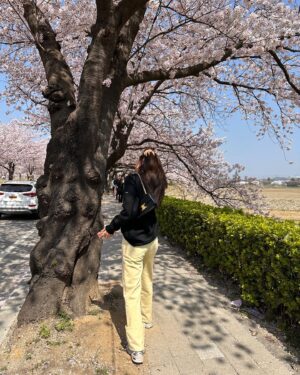 Song Joo-hee Instagram - 벚꽃을 보는데 벚꽃만을 보려고 어딜 온 적이 있었나 싶었다. 걷는 내내 기분이 너무 좋았다. 내년에도 올 테다. 🕶️🌸