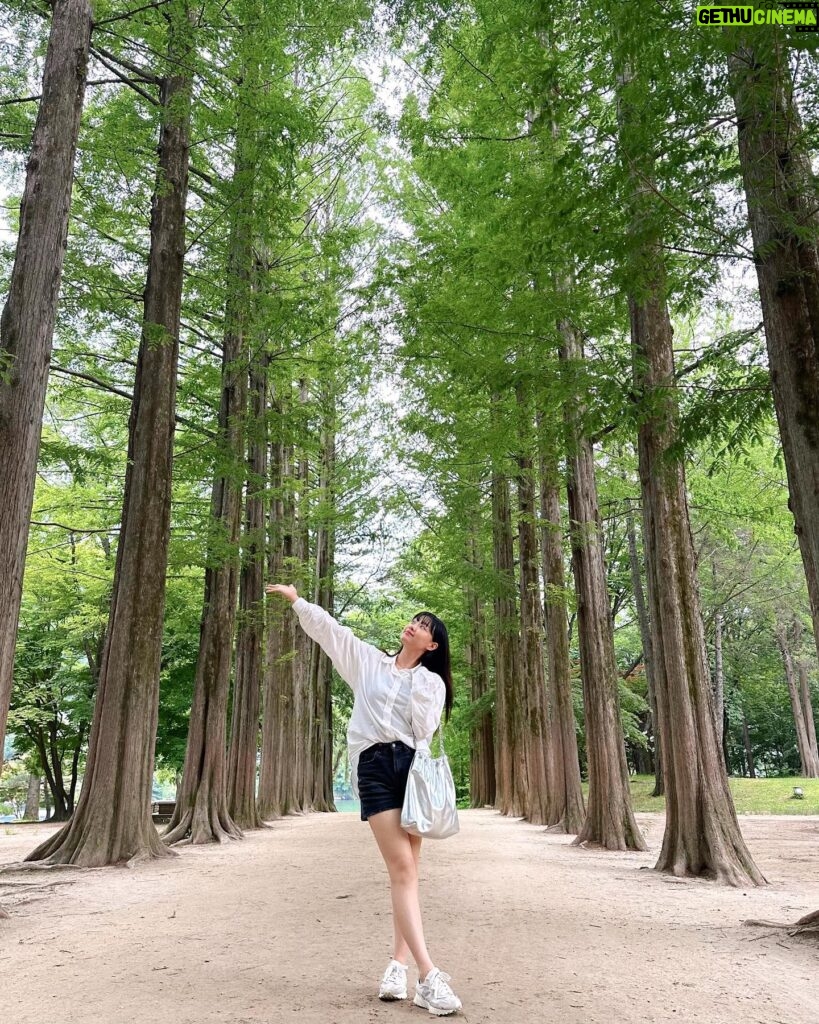 Song Ji-eun Instagram - 🌱💚✨🌳