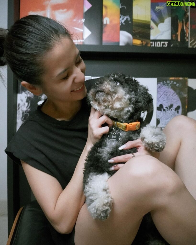 Sonya Pandarmawan Instagram - Vibing myself Until Boba the manja boy in frame lol Thank you for capturing these cute shots @ninakozok ❤️