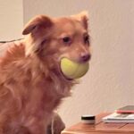 Sophia Ali Instagram - Going into the new year like
