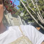 Sophia Ali Instagram - Is it mating season or what