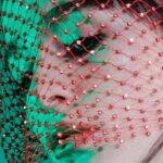 Sophia Anne Caruso Instagram -