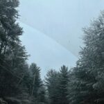 Sophia Anne Caruso Instagram - Photo dump / photo by Andrew, self portrait I started, friends, upstate, and some random ones