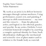 Sophia Anne Caruso Instagram – I am proud to present my work @davidzwirner Gallery in an auction, with proceeds benefiting Artists For Artists, a financial aid fund for the children of New York-based art practitioners.

The auction is currently taking place on Artsy and will continue until this Friday, March 8th at 12 pm. There is more information in my bio.

Combining my passion for art with a philanthropic gesture feels meaningful and exciting! 

Thank you @batshevadress. Perfect dress for this special night!