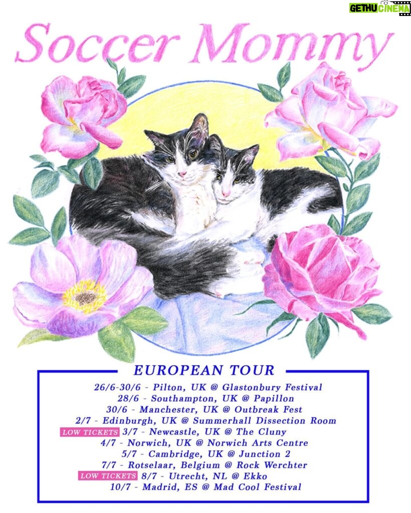Sophia Regina Allison Instagram - Reminder that I’m coming to the uk/eu this summer and all shows are on sale 💐 Newcastle and Utrecht are already low on tickets! Flyer design by @elegante_dude Tour Dates: 26 June-30 June - Pilton, UK - Glastonbury Festival 28 June - Southampton, UK - Papillon 30 June - Manchester, UK - Outbreak Fest  2 July - Edinburgh, UK - Summerhall - Dissection Room 3 July - Newcastle, UK - The Cluny [LOW TICKETS] 4 July - Norwich, UK - Norwich Arts Centre 5 July - Cambridge, UK - Junction 2 7 July - Rotselaar, Belgium @ Rock Werchter 8 July - Utrecht, NL - Ekko [LOW TICKETS] 10 July - Madrid, ES - Mad Cool Festival