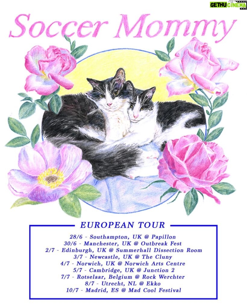 Sophia Regina Allison Instagram - Tickets are on sale now for all UK/EU shows festivals 🩵 Link in bio