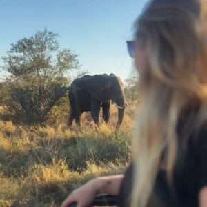 Sophie Morgan Instagram - Accessible Safari, anyone?!

This is INCREDIBLE place is Ximuwu (@ximuwu.safari.lodge) in South Africa…it’s the World’s First Luxury   Accessible Private Safari Lodge and you can win a FREE TRIP through Wheel The World (@wheeltheworld)! 

Head to @ximuwu.safari.lodge for more info and enter the GIVEAWAY via @wheeltheworld 

Link to read my @CondeNastTraveller article about my trip to Ximuwu last year via the link in my stories. 

#AccessibleSafari #Wheelchair #Adventure #WheelTheWorld #Safari #InclusiveDesign #IncluTravel