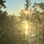 Sophie Grégoire Instagram - Being in contact with Nature’s elements is a natural detoxing process for the mind and body all on its own. After almost two decades later since my first visit, the raw beauty of Tofino still takes my breath away. Just a couple of days spent as a family surfing the waves, biking, hiking, fishing, sunset gazing or bathing in sustainably harvested seaweed within Canada's first recognized Tribal Park (thanks to Moon Jelly Bathhouse) it was a pure blessing! Back to school and work is around the corner but let’s stretch it out as much as possible! Happy end of summer everyone.🌞 #moonjellybathhouse Respirer l’air frais et me sentir libre en pleine nature c’est comme une cure en soi! Cela fait presque 20 ans depuis ma première visite à Tofino et son immense beauté ne cesse de m’époustoufler. Quelques jours passés en famille à surfer les vagues, faire du vélo, partir en randonnée, à pêcher, à contempler le coucher du soleil ou à se baigner dans des algues récoltées de manière durable dans le premier parc tribal reconnu au Canada (merci à Moon Jelly Bathhouse) c’était une pure bénédiction ! La rentrée scolaire et le travail arrivent à grands pas, profitons-en encore au maximum! Bonne fin d'été à tous. 🌞